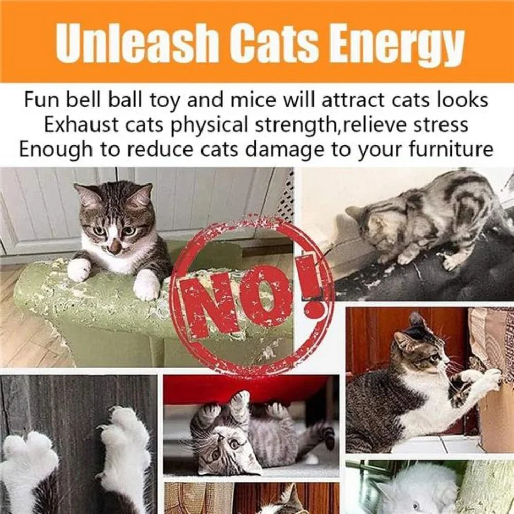 21 Pcs Cat Toys for Indoor Cats Collapsible Cat Tunnel Interactive Feather
